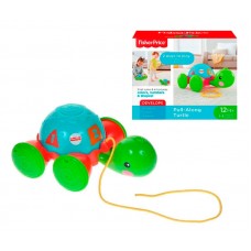 TORTUGA DE APRENDIZAJE